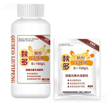 �Ǵ����w��-���-�����Z����