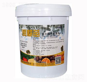 20L��(f��)��΢�������-������-��������