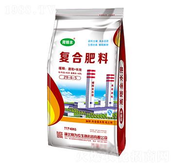 ��(f��)�Ϸ���29-6-5-���Z�S