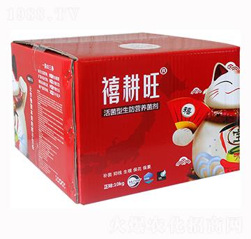 ����������I�B(y��ng)����-������-���r(n��ng)�A��