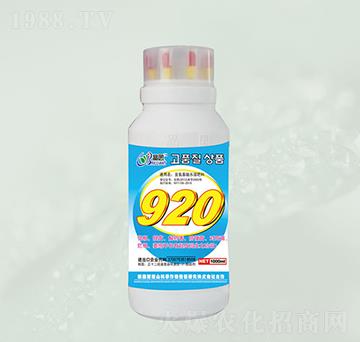 920�~���-���@����