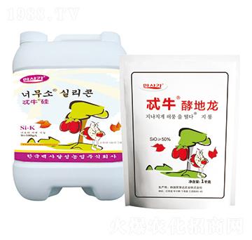 ߯ţ�͵���-�A��