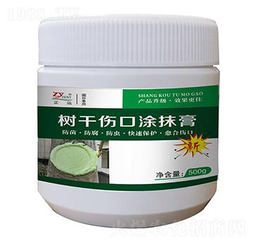 ��(sh��)�ɂ������τ�-���h(yu��n)