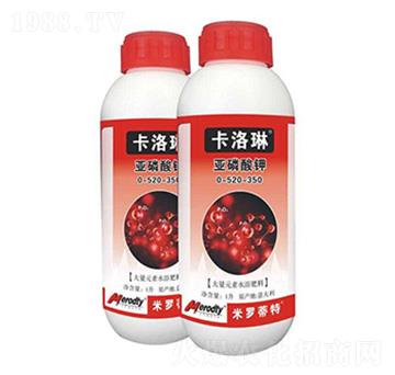 �������-0-520-350-������-��(y��u)��˼