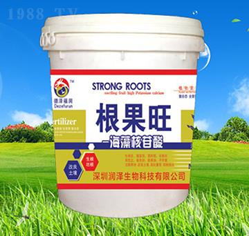 ���������-������-��(r��n)������