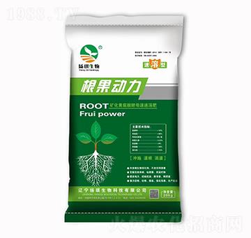 ��������-�P������