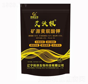 �VԴ�S�����-���ָ�-�P������