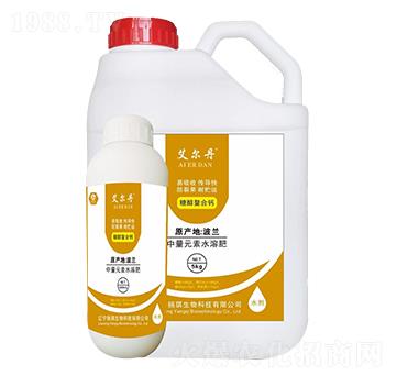 �Ǵ������}-������-�P������