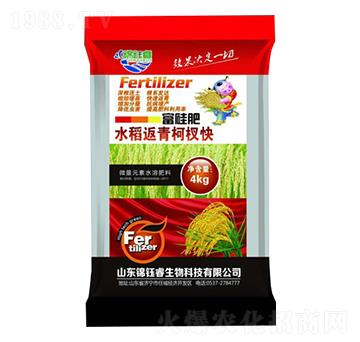 ˮ�������辿�-�\��