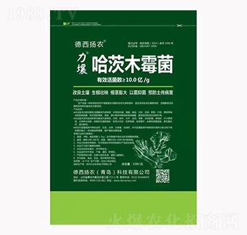 ����ľù��-����-�����P(y��ng)�r(n��ng)