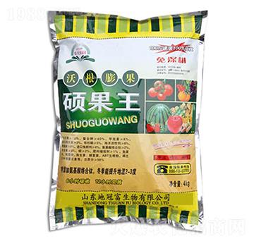 �ָ�����T����-�عڸ�