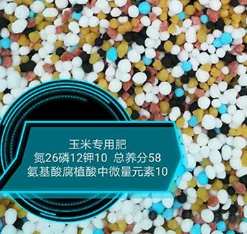 ���׌��ð����ḯֲ����΢��Ԫ��26-12-10-���r�r�I(y��)