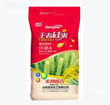 ��(f��)�Ϸ���17-22-5-ʩ����-���r(n��ng)����