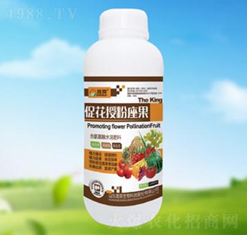 �ٻ��ڷ�����-��������