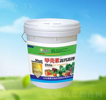 �ך��ظ��}���-��������