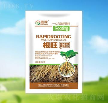 ����-��������