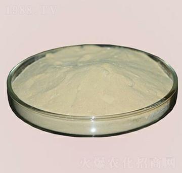 �M���~���ס���-�崺�r(n��ng)�Y