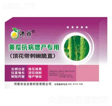 �S�Ͽ������a(ch��n)����-�������