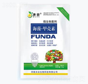 ����ך���-�������