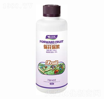 ����������-�S�A��-�S�A�ʘI(y��)