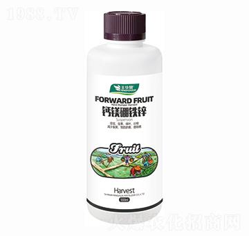 �}�V���F�\-�S�A��-�S�A�ʘI(y��)