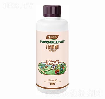 ���w��-�S�A��-�S�A�ʘI(y��)