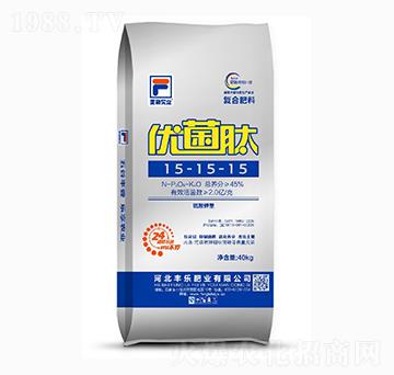 ������͏�(f��)�Ϸ���15-15-15-��(y��u)����-�S���ʘI(y��)