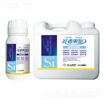 ̼�ܹ�⛷�-�������-����ֲ��