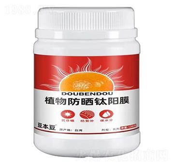 ֲ�������Ĥ-������