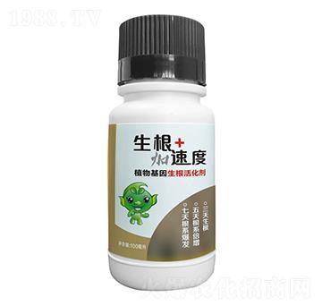 ֲ������������-�������ٶ�-������