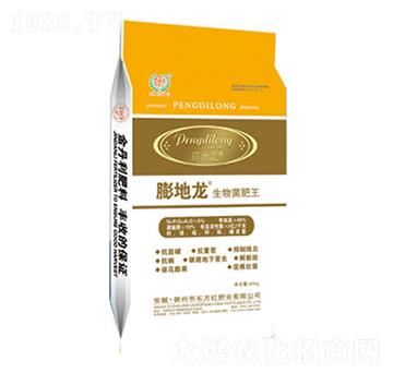 ���������-�����-�|���t