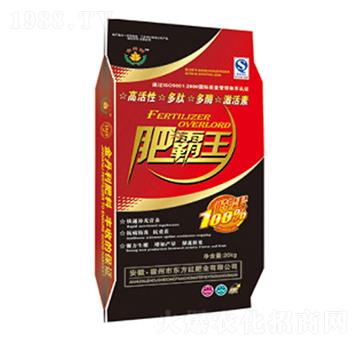 �ʰ���-�|���t