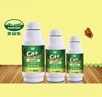 �����}-��Ș�