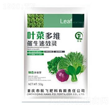 �~�˶�S�����`-���л���