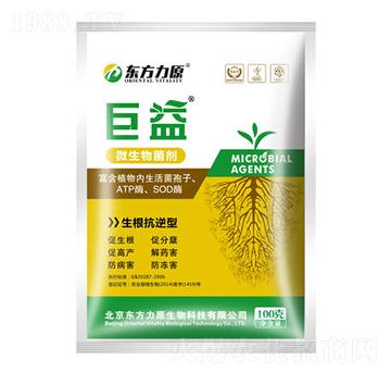 ����������-����-�|����ԭ