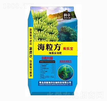 ����������ȫ�ܷ�-������-���º���