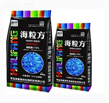 ����΢�������-������-���º���