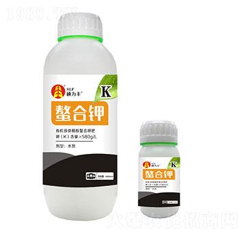 ����⛷�-�T���S����