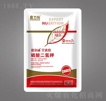 � �����������-�W����-��˼�D