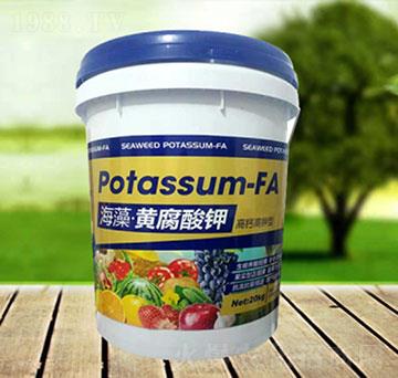 �����S�����-�\�����Q��