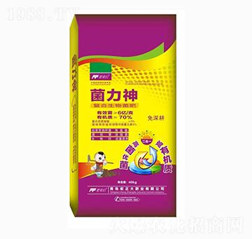 �ͺ��������-������-������ʘI(y��)