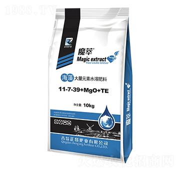 �������Ԫ��ˮ�ܷ���11-7-39+MgO+TE-ħ��-�����ʘI(y��)