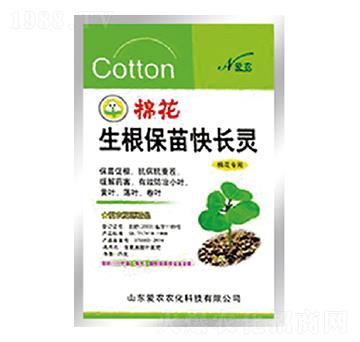 �޻�����������L�`-�и�����