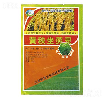 �S�������`-�и�����