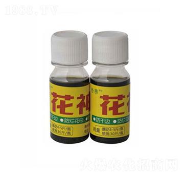 �S���r����-�r����