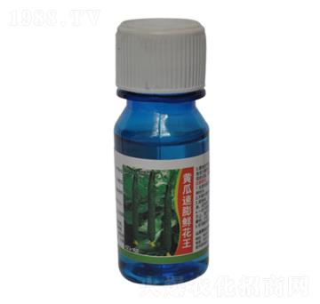 �S�������r����-�r����