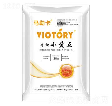 �S��С�S�c-�S������