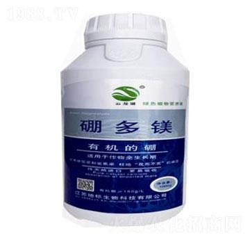 ����V-�ؘ�����