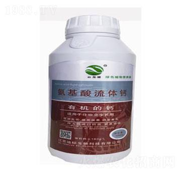 ���������w�}-�ؘ�����