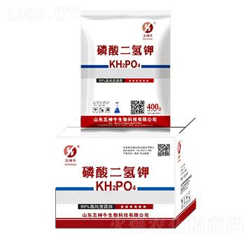 400g��������-����ţ